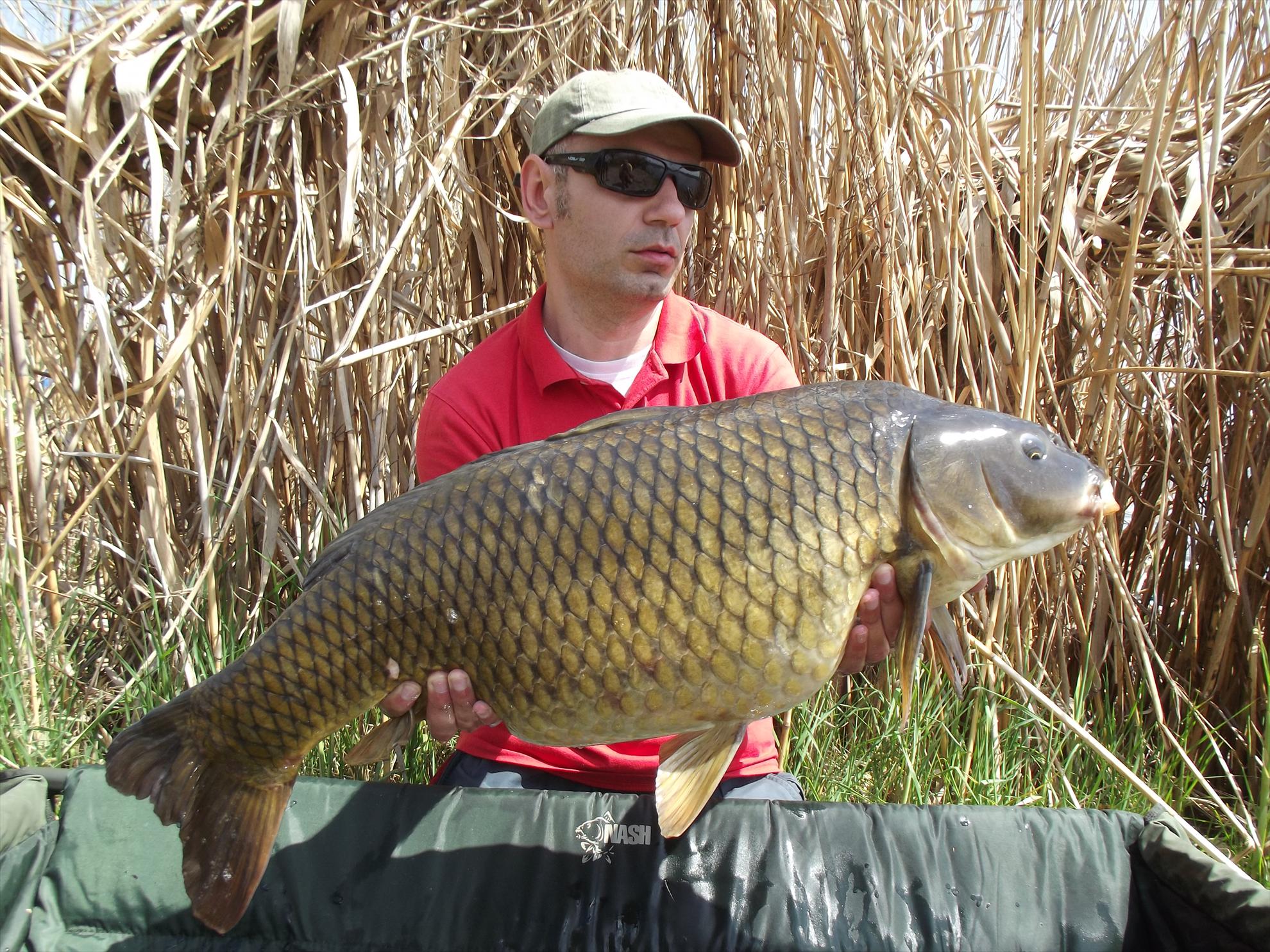 Tancabesti 19 - 21 apr. - dscf3598.JPG